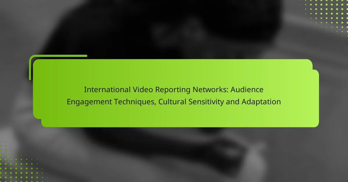 International Video Reporting Networks: Audience Engagement Techniques, Cultural Sensitivity and Adaptation